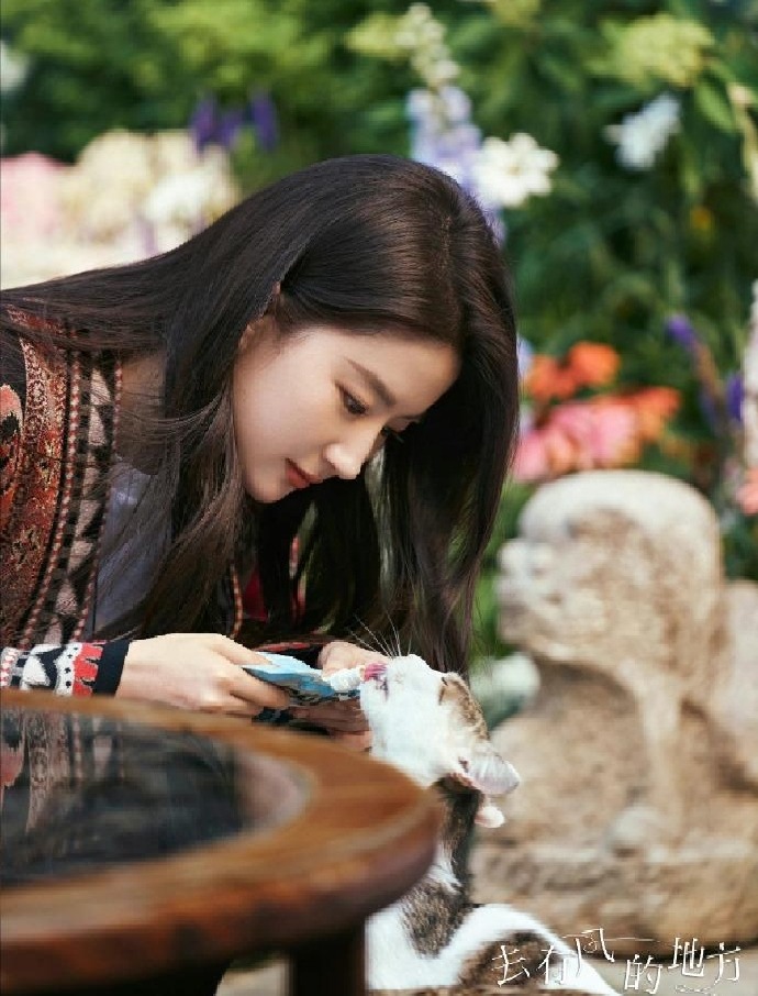 演唱会|《去有风的地方》,全员互相治愈,让观众身临其境