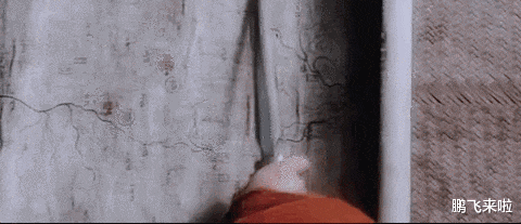 王思聪|跨国资本，递了一把刀，随后，武侠电影消失了