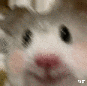 短发 Joy在新剧里的最新婚纱造型美得惊艳！