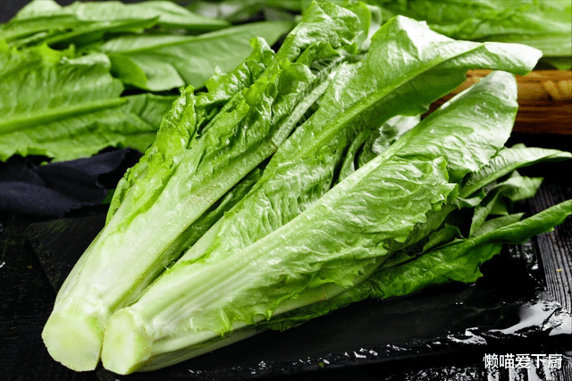 食盐|镁被称“心血管卫士”,建议中老年:宁少吃肉,别忘吃5种高镁菜