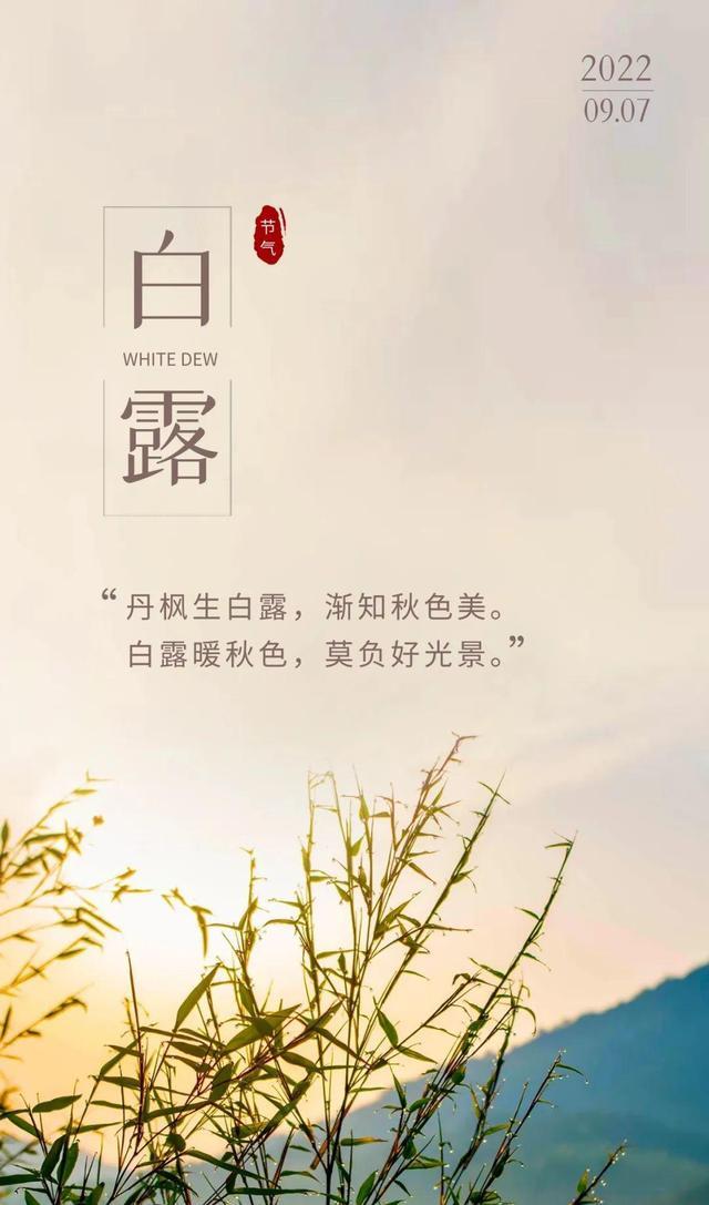 白露图片配图唯美高清带字大全,白露朋友圈问候语文案句子