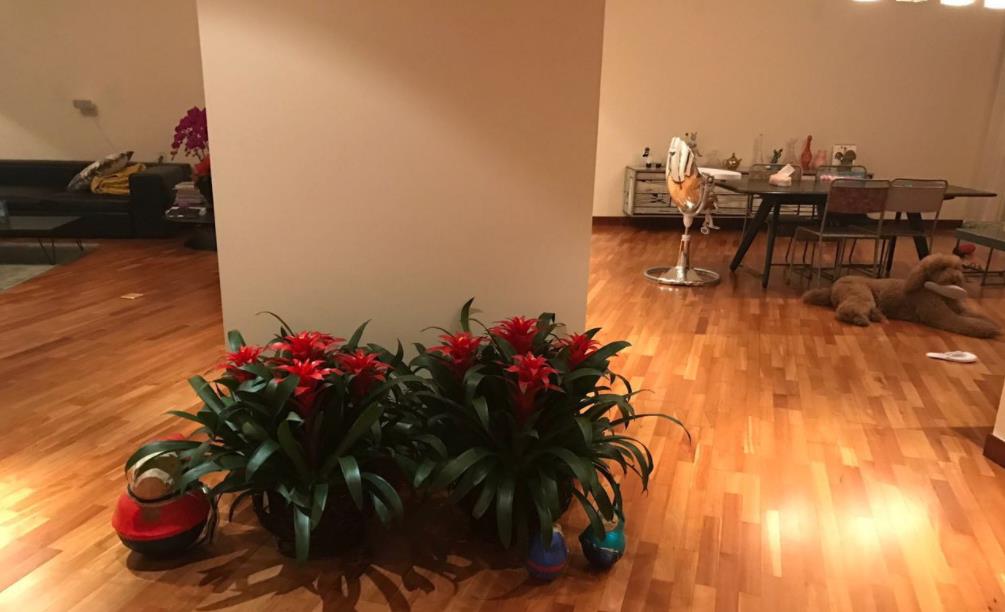 晒晒霍思燕和杜江的家，房子装修简单显得很空旷，连家具都没几件