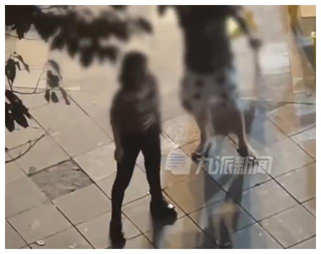 女子深夜扰民遭群殴？附近商家：她影响别人休息，辱骂挑衅居民