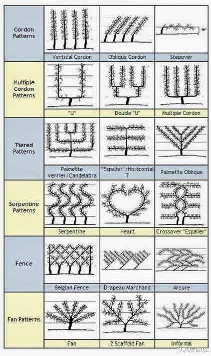一面墙也能凹出造型来，这8种花园墙值得效仿，羡慕那些有庭院的业主