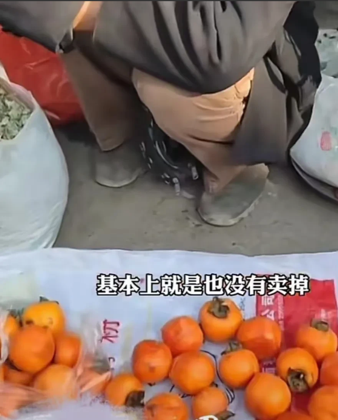 安徽宿州,女子看到一个大爷在路边卖柿子,但因为柿子烂了,哪怕大爷卖1元1一斤也无人问津!