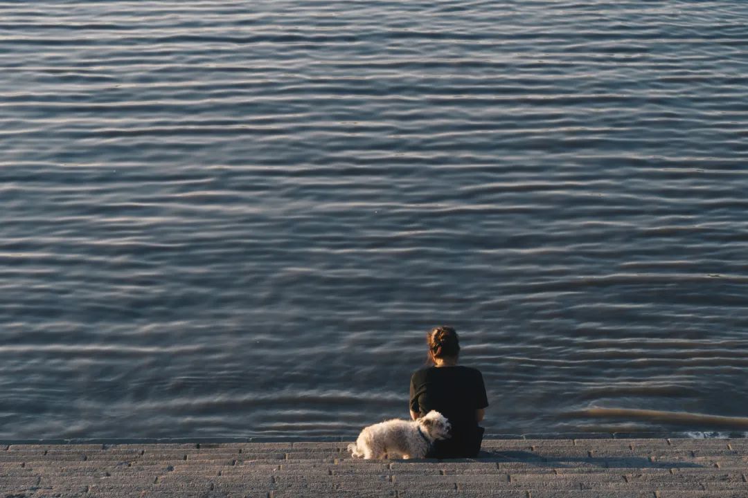 荷花|这才是最值得去的12个避暑天堂,挑一个去过25℃+的夏天