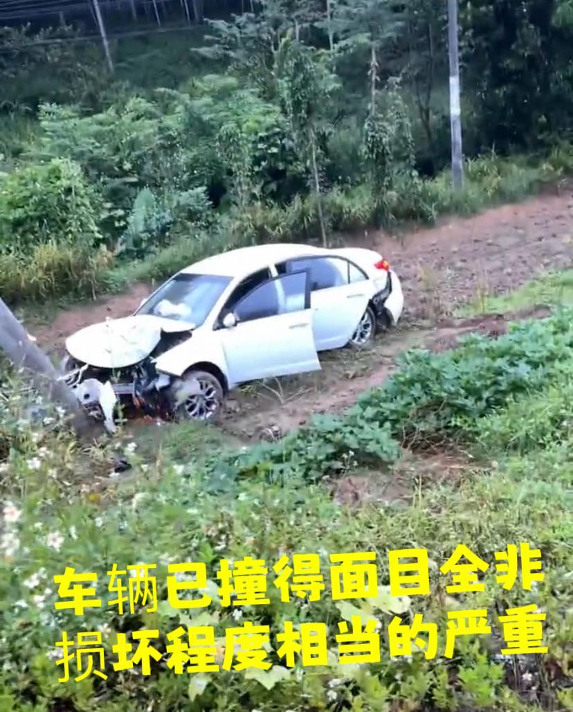 广西玉林一男子驾新车回乡,撞到电线杆子上:这下全村人都知道了