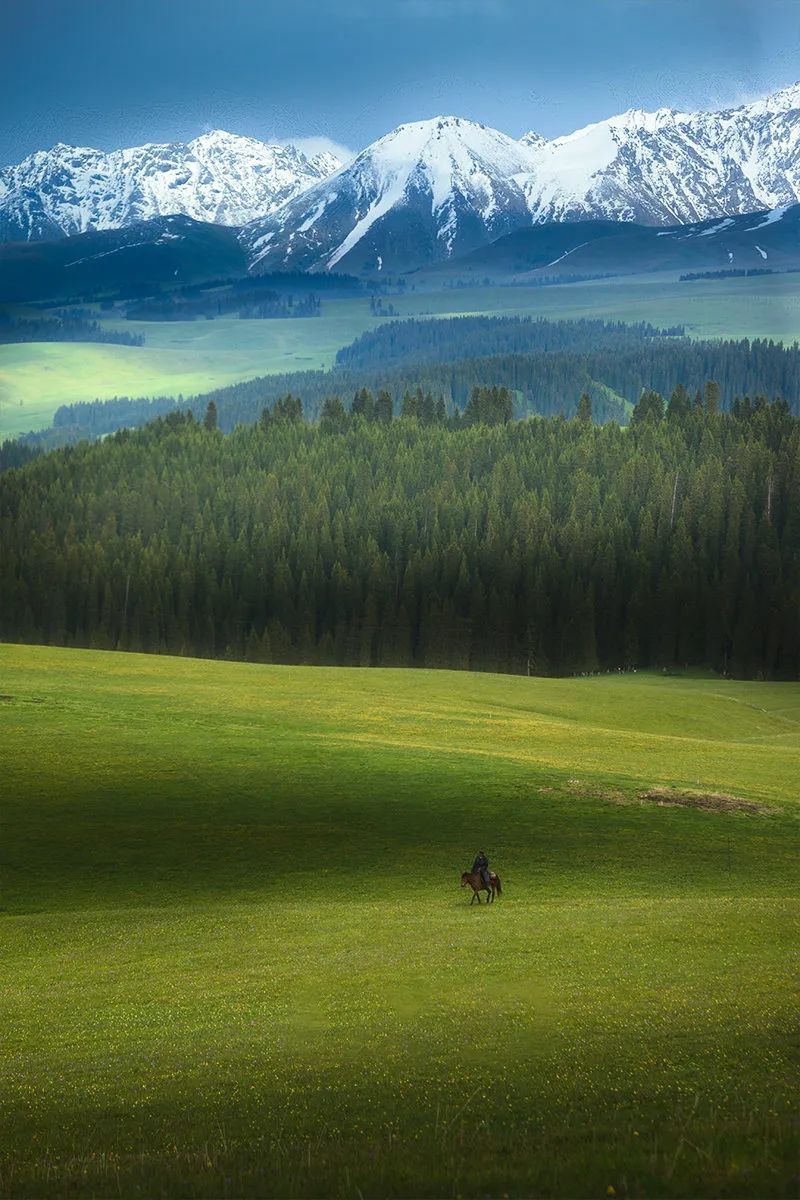 香港|草原季即将开启,如何选择最适合你的草原?