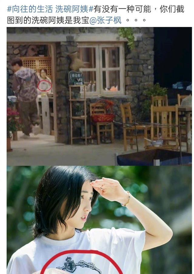 旅行|《向往的生活》导演否认雇阿姨洗碗！网友疑似把张子枫认成阿姨了