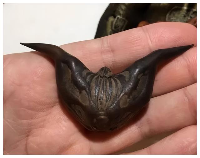 文玩|那些带尖的物件,在文玩人手里盘的晶莹剔透