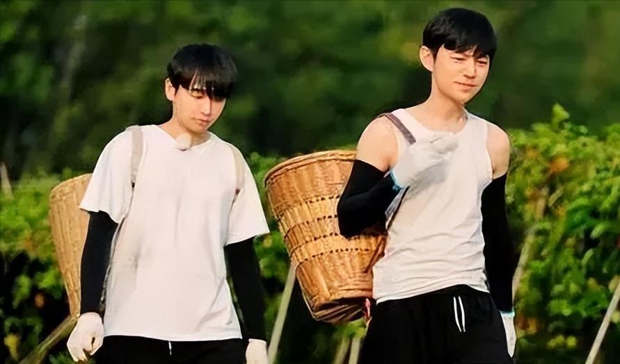 综艺节目|从三个方面来分析,《向往的生活》对综艺节目的发展有何重要意义