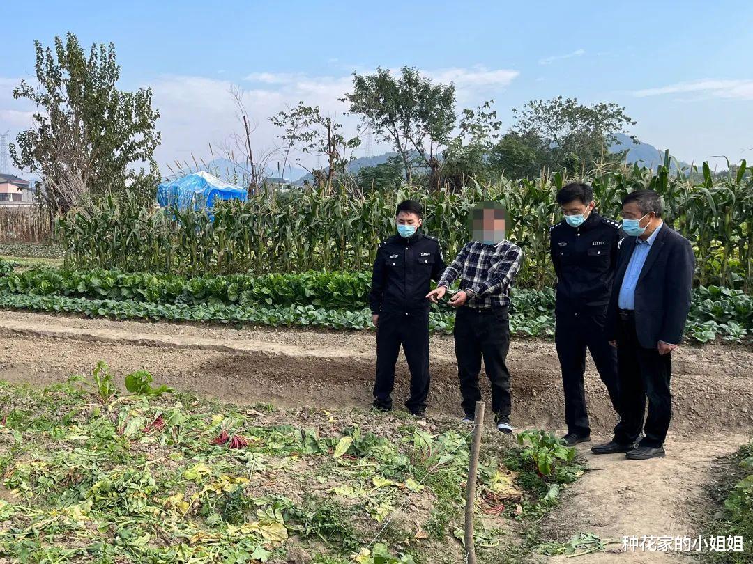 现实版偷菜!杭州一大爷300斤萝卜被偷,找到时已变成萝卜丝!