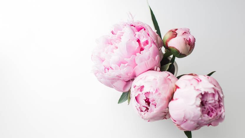 |理想主义是抑郁的帮凶,如果你不想整日郁闷,试试像高手一样思考