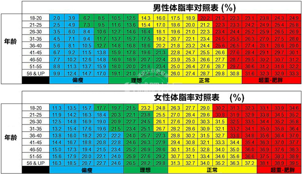饮食 小基数如何有效减肥？