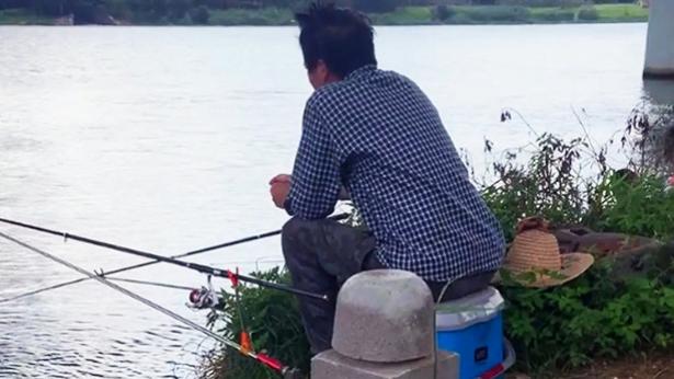 李大毛|这钓友还真淡定，换别人早吓跑了，估计李大毛看到也自叹不如
