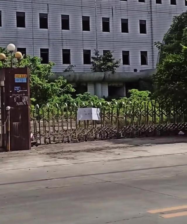 东南亚|好多工厂搬去了东南亚,如果工厂都搬走了,那我们去哪里找工作呢