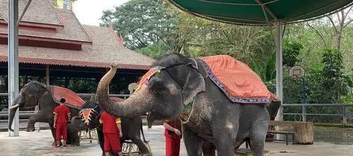 日出|替你节省时间!云南旅游这几个景点都是坑,钱难赚可别浪费了