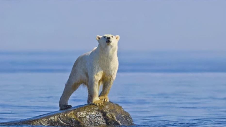 霍金去世前留下三个忠告,人们畏惧第一个,而第三个已经发生了