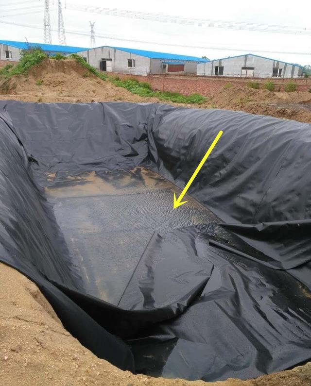 别再互相看不上了，院子里挖鱼池，防水确实重要，两种方法都靠谱