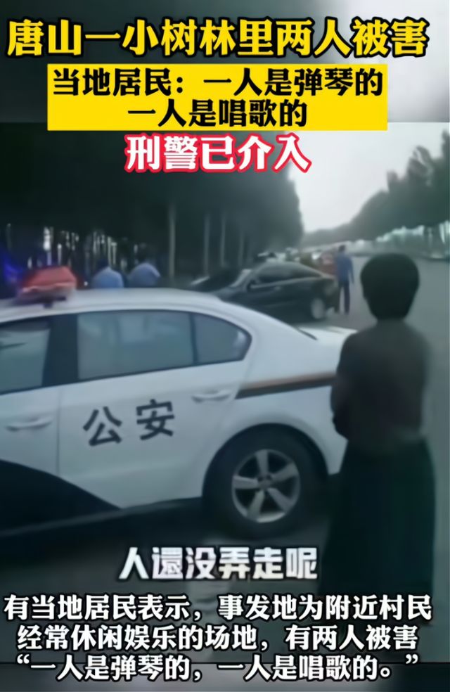 唐山市小树林内两人被害,二者以唱歌弹琴为业,凶手至今不知所踪
