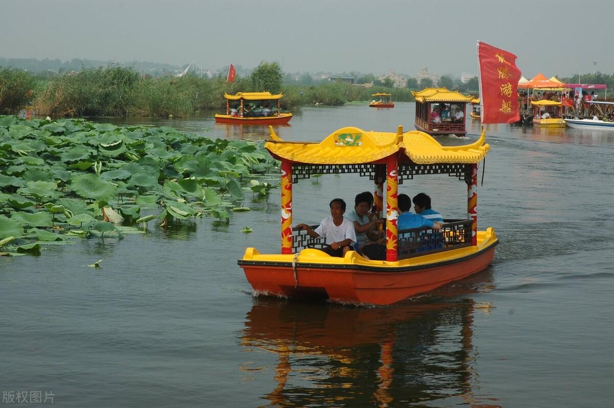 宫岛|郭进拴|龙湖赏荷记