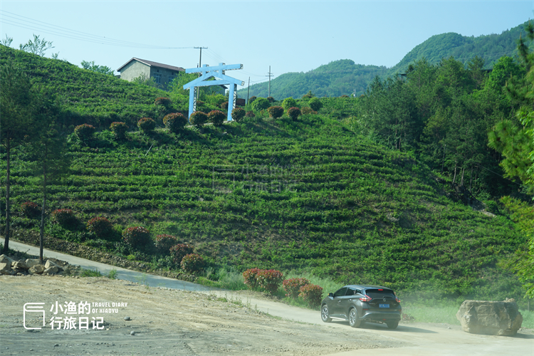 自驾|自驾210国道,我来到了川陕交界!坠入绿野仙踪的秘境
