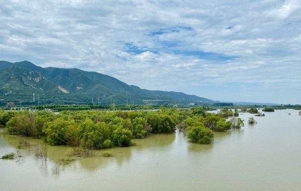 河南|总人口58万,河南这个县,去的人觉得“不错”