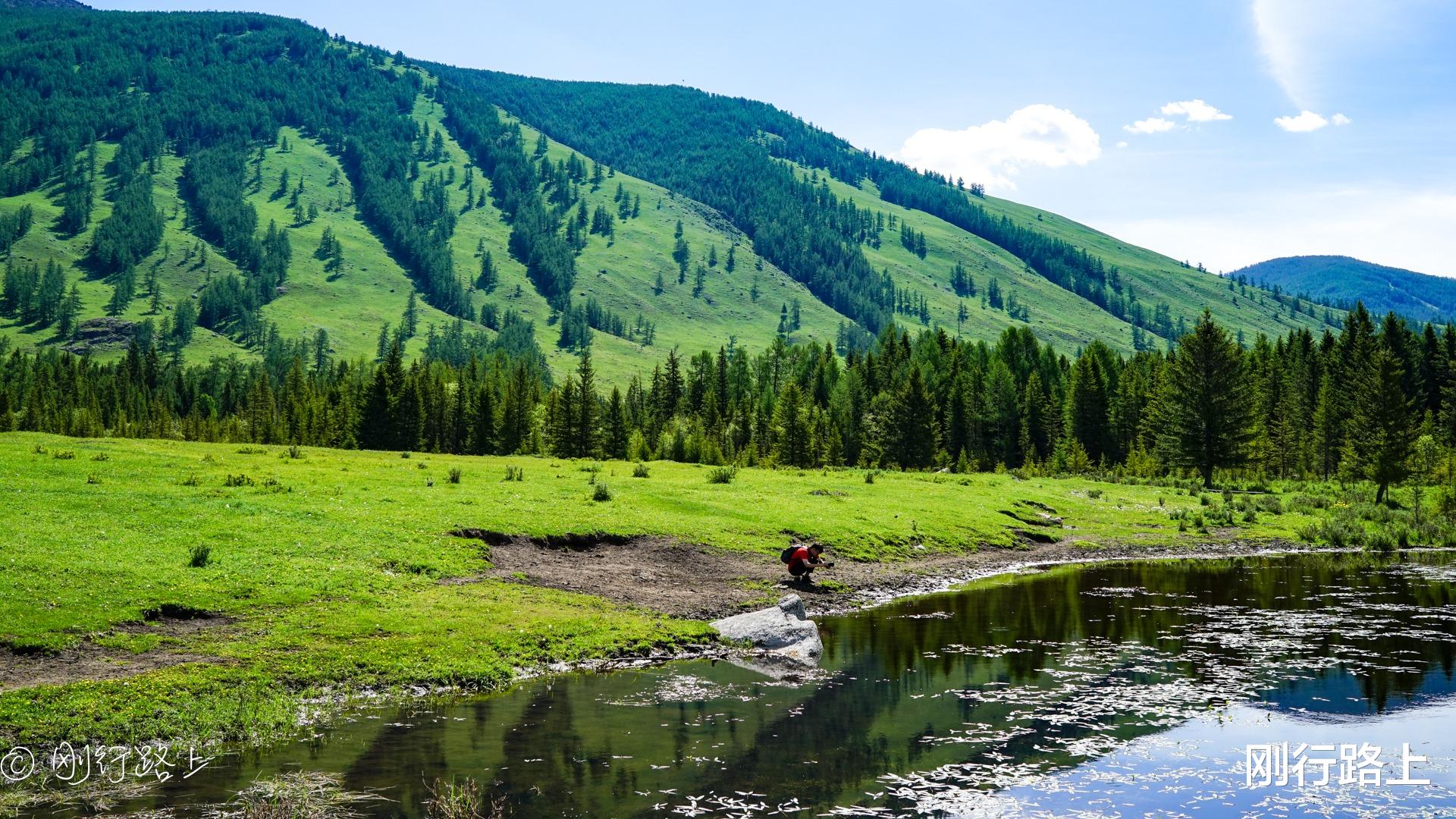 喀纳斯湖|喀纳斯湖双湖码头徒步，这里的夏天怎么能让人不心动？