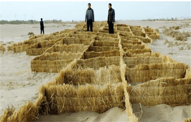 毛乌素沙漠|中国首个将消失的沙漠，面积比海南岛大，80％已成绿洲