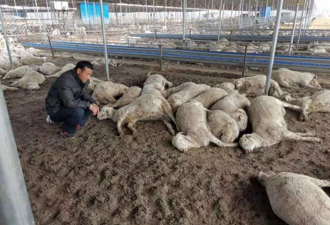 农民在自己地里撒药叫“投毒”?有人因此被判刑,网友都看不下去了