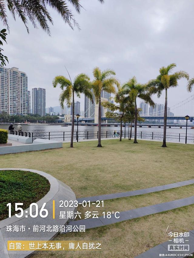 |麦鲮数尾刚显名,大物一尾更惹火……