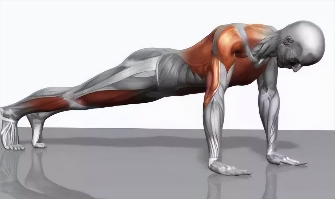 长寿|活到78岁和88岁,差别在哪?这10年是如何加出来的?