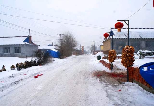 2018年,哈尔滨女子出轨后跪雪地求丈夫原谅,一时心理失衡成悲剧