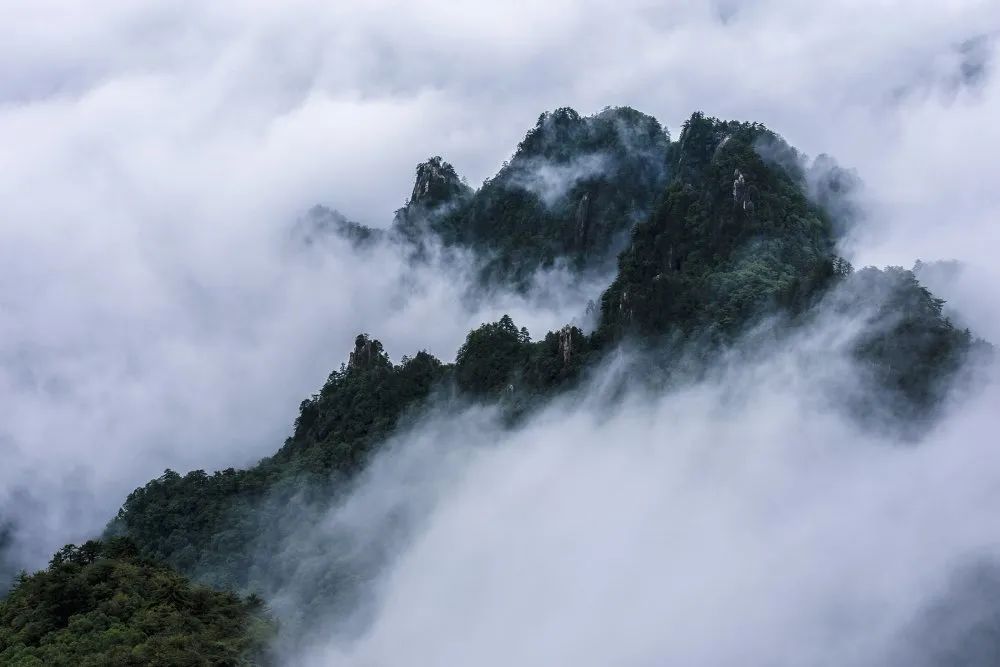 六和塔|云海频现，白云山进入最佳云海观赏季！看一眼就心动的“仙境”