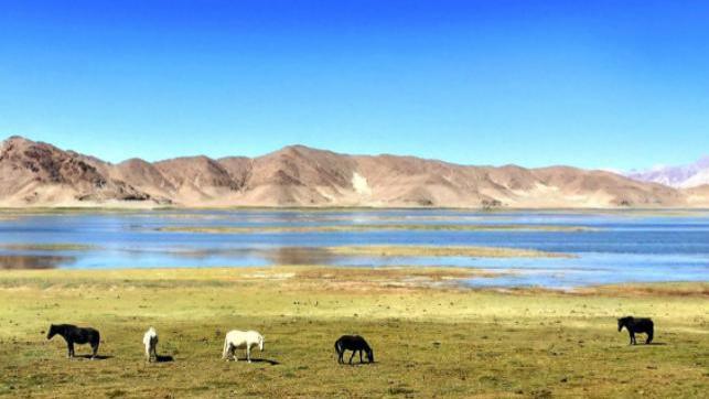 西藏|美丽的青藏高原，隐藏了多少战略级矿藏？西藏变资源福地