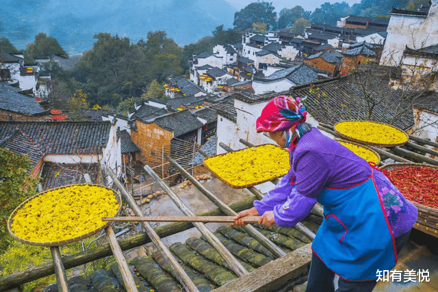 乌镇|国内10个精致的旅行地,真正的世外桃源,每一个都美得那么低调!