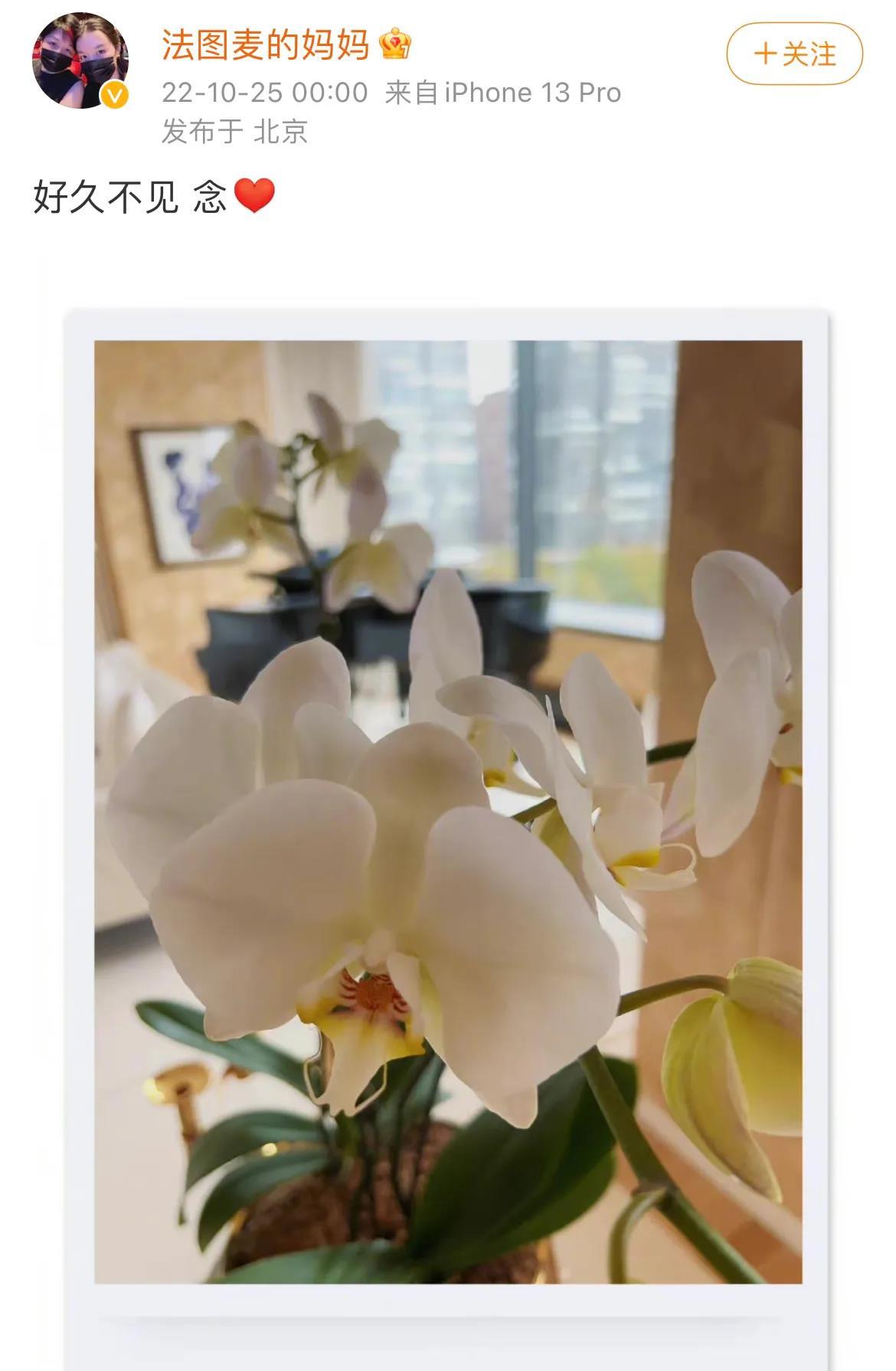 李咏|李咏妻子，凌晨零点发文！