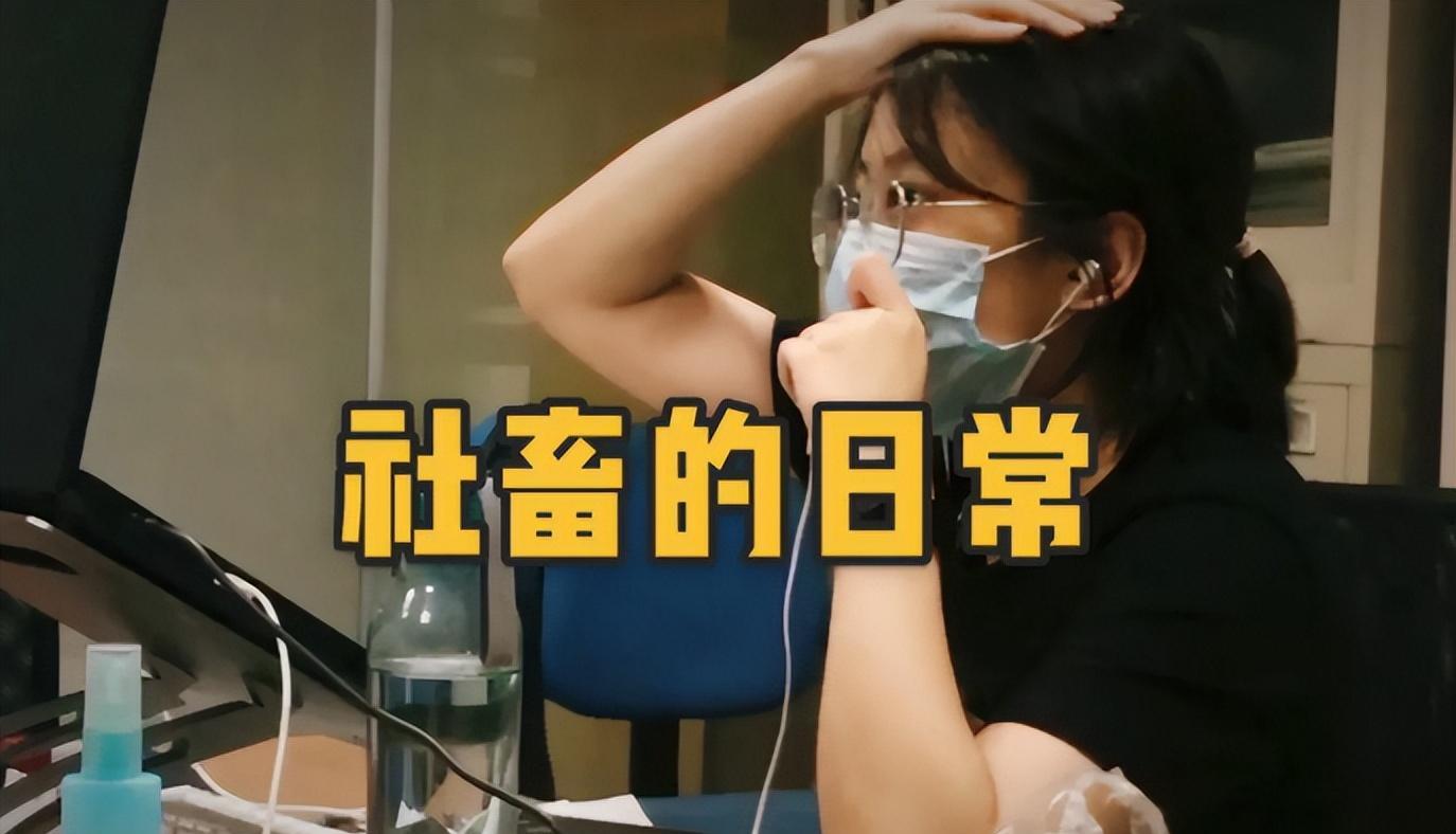 律师|“我能熬夜,但不能加班”,00后大学生进入职场,给出工作新定义