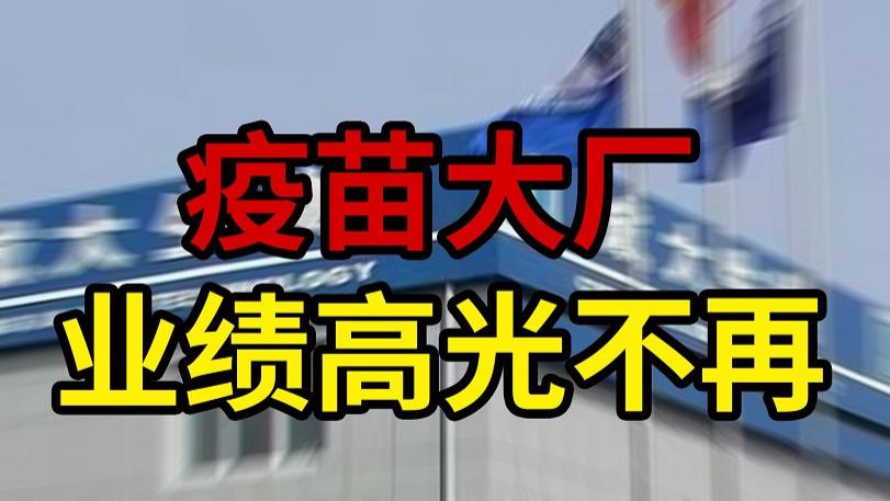 成大生物业绩高光不再