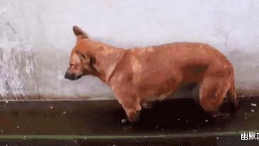 人力资源|“职场遇到骚扰怎么办？”妹子教你如何硬核回怼！哈哈哈