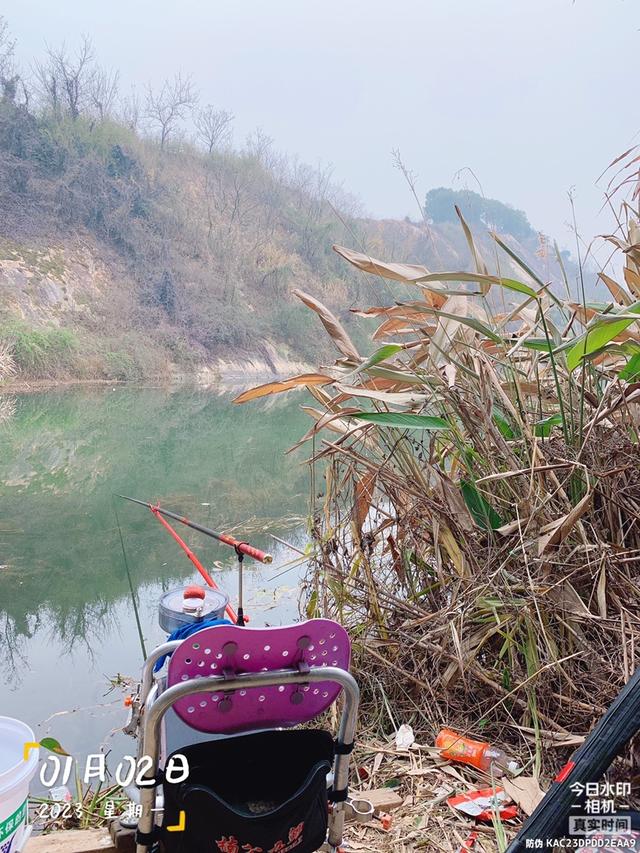 饵料|走心的饵料，果然符合“大家伙”的胃口