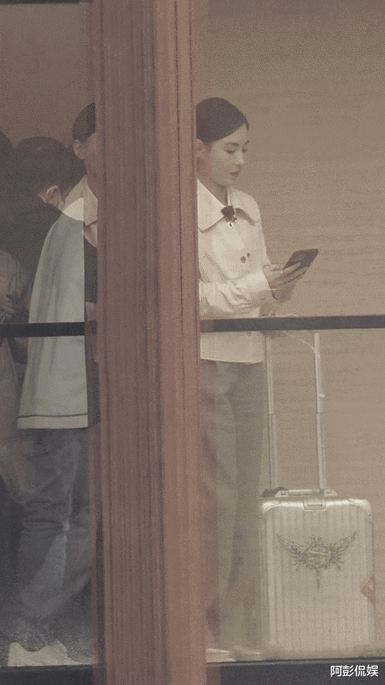 张柏芝|张柏芝，最新近况曝光！