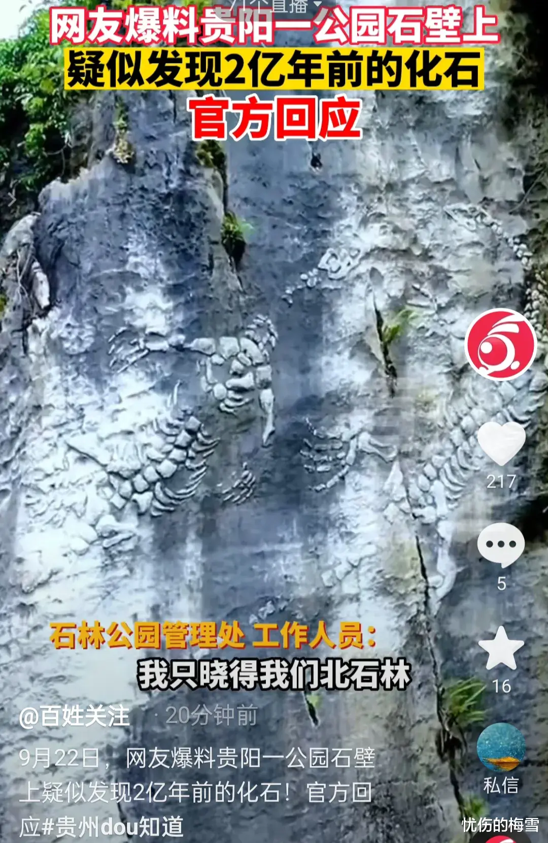太不可思议了!贵州,在喀斯特公园中的石壁上,有人发现很多看似蜈蚣、又像蝎子的石头图案