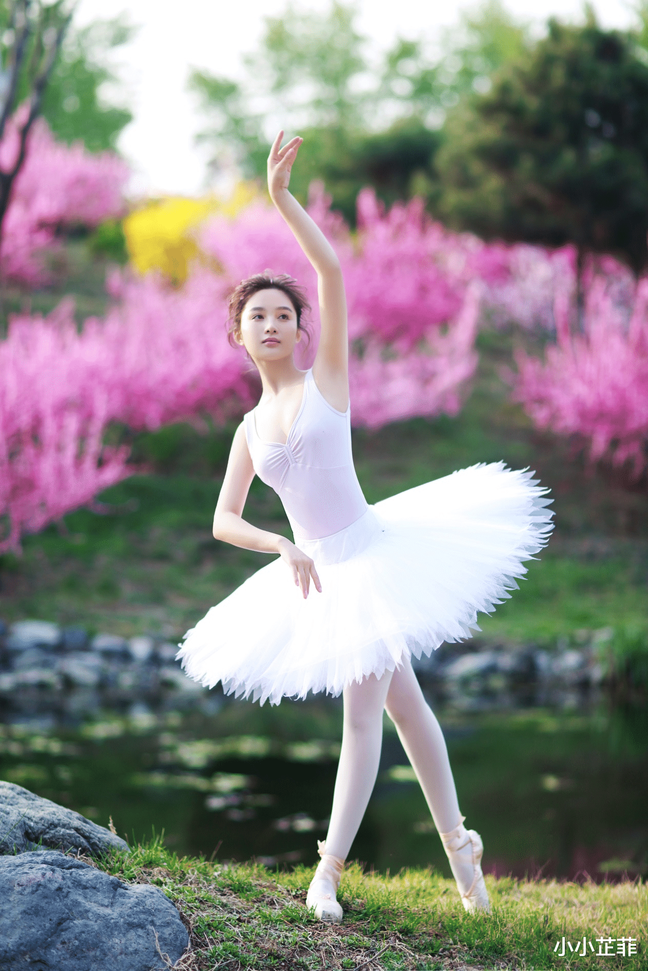孙嘉璐|孙嘉璐晒跳芭蕾舞片段，只能用“赏心悦目”四字形容