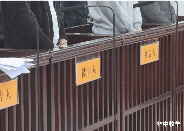 广东茂名:化州市一涉黑组织近日被通报,团伙“头目”被判刑24年