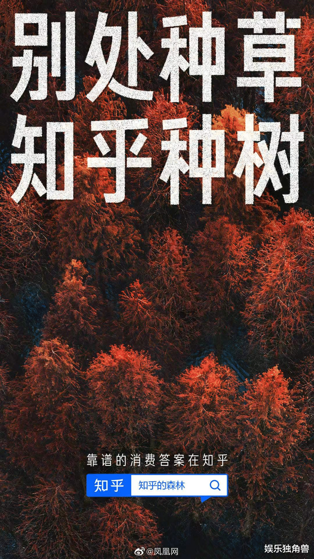 智己|拔“假草”、“媛”生态、种“电商”……小红书能值20个“知乎”吗？