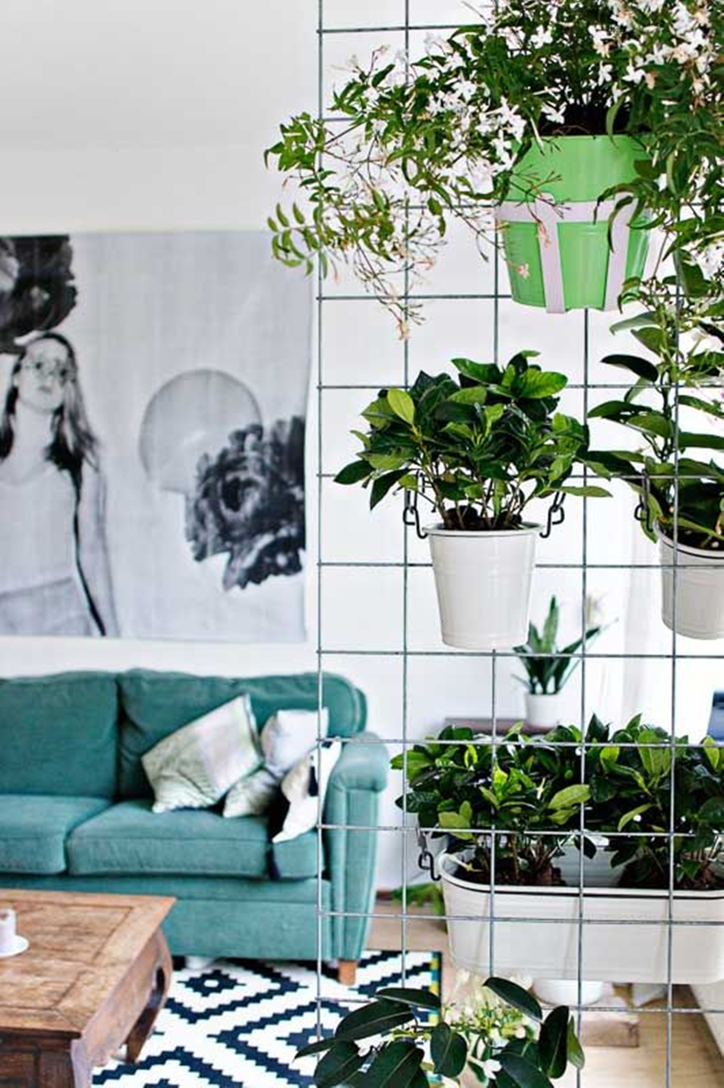 只需一张金属网,阳台从墙面装到天花板,没有院子照样“花团锦簇”