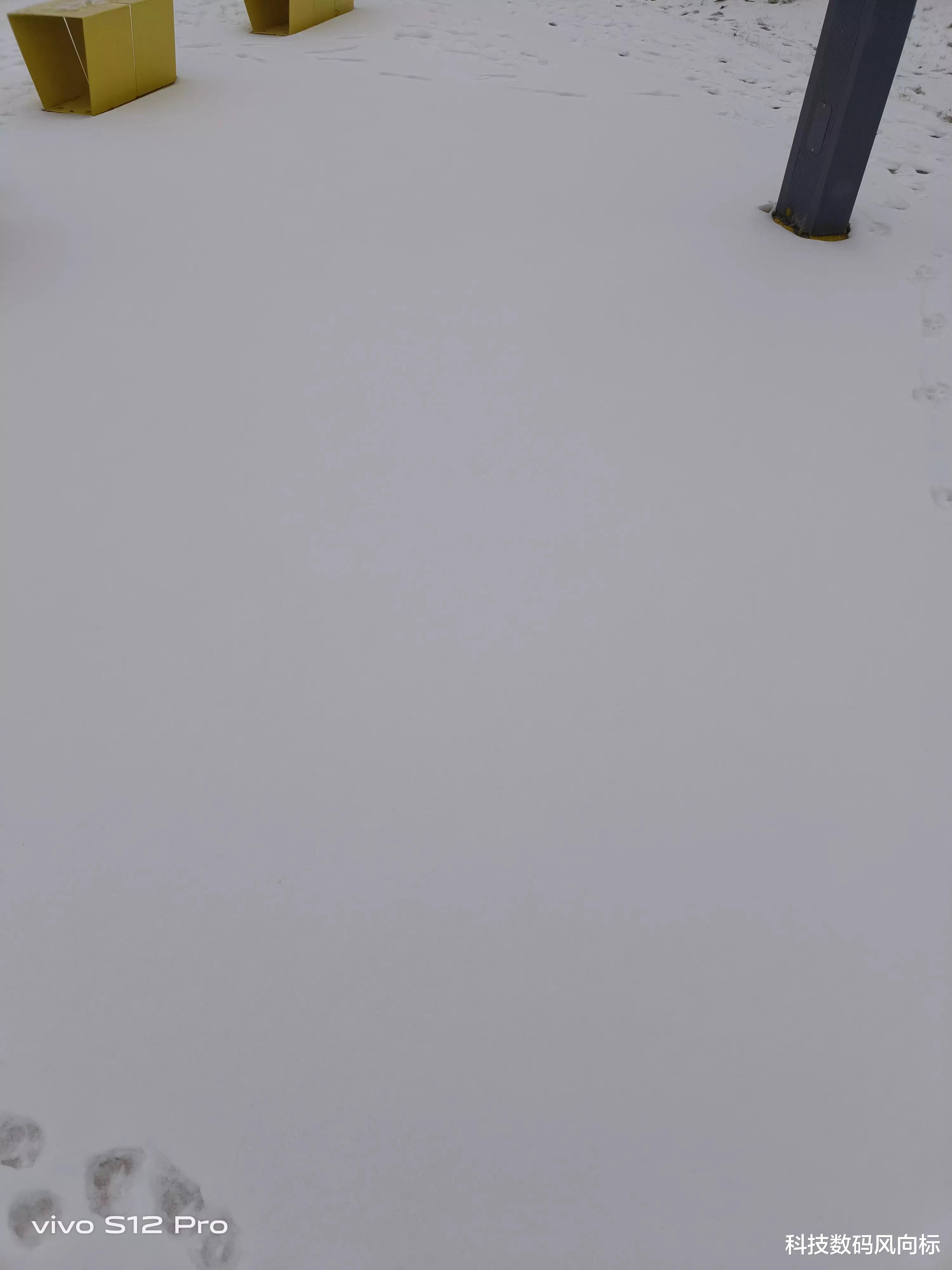 vivo s12|vivo S12镜头记忆下的2022年第一场雪