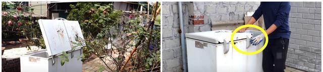 外表普通的废旧冰柜,拿来改造成鱼缸养鱼,过程简单成品却很漂亮