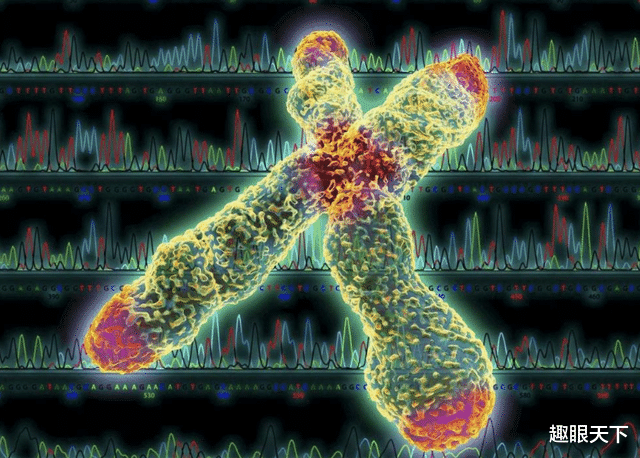 生命的终点原来在死亡之后?科学家研究人类基因有了惊人发现